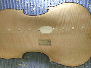 Parche de alma en fondo de violonchelo