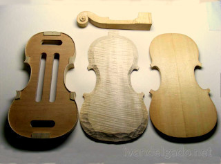 Partes de un violín en el proceso de construcción